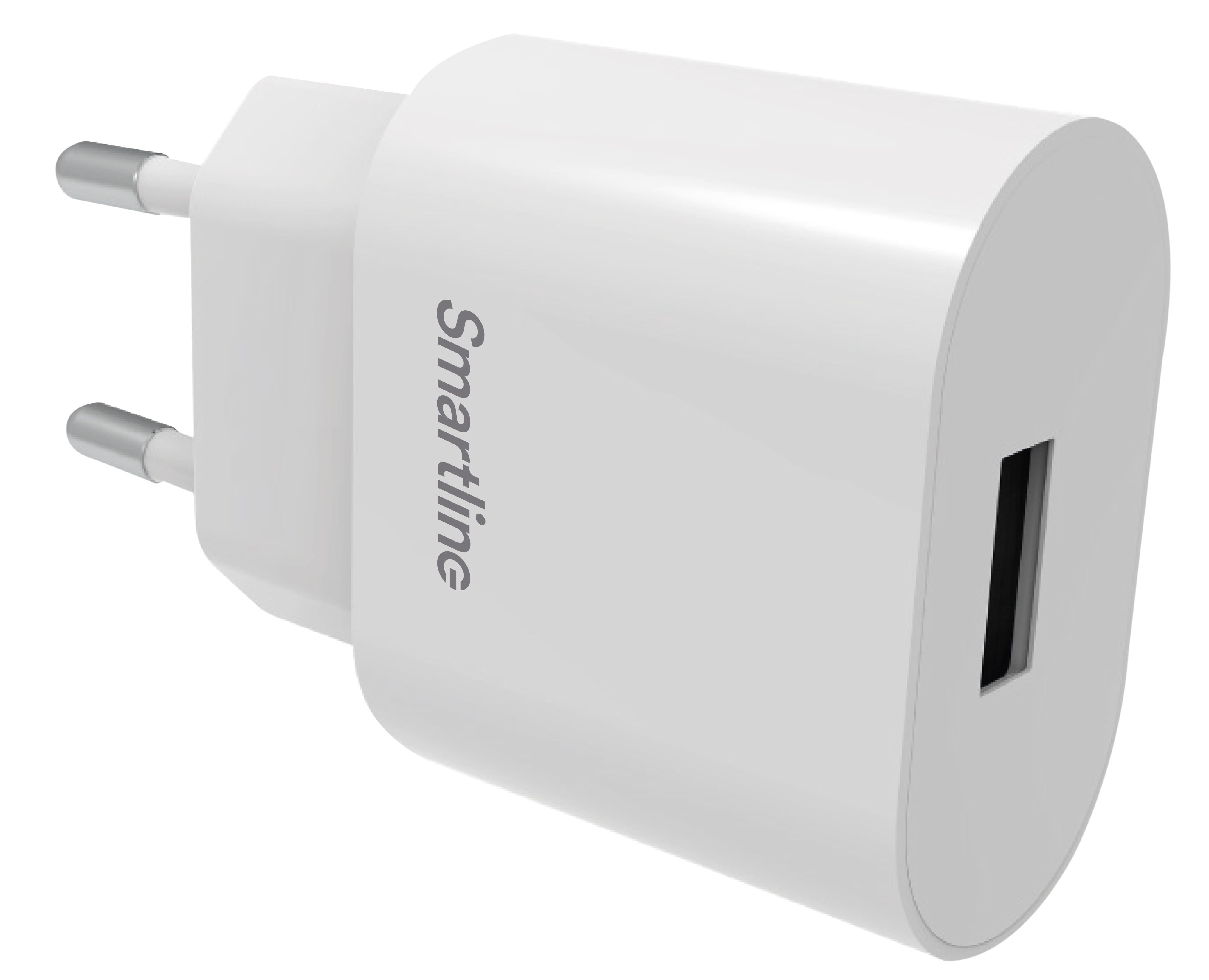 USB Wall Charger 2.4A valkoinen