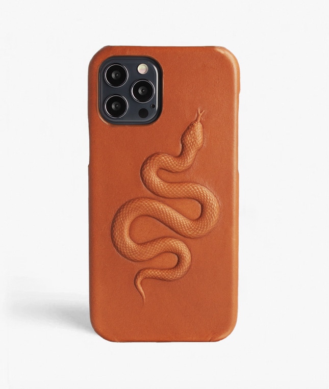Kuori iPhone 12/iPhone 12 Pro Snake Ruskea
