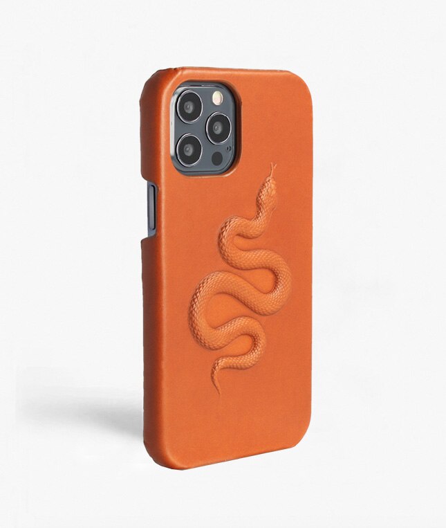 Kuori iPhone 12/iPhone 12 Pro Snake Ruskea