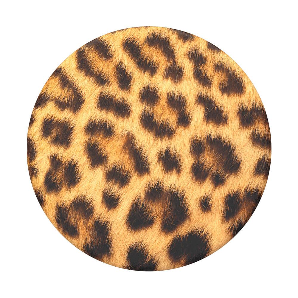 PopGrip pidike/teline irroitettava pää Cheetah Chic (Gepard)