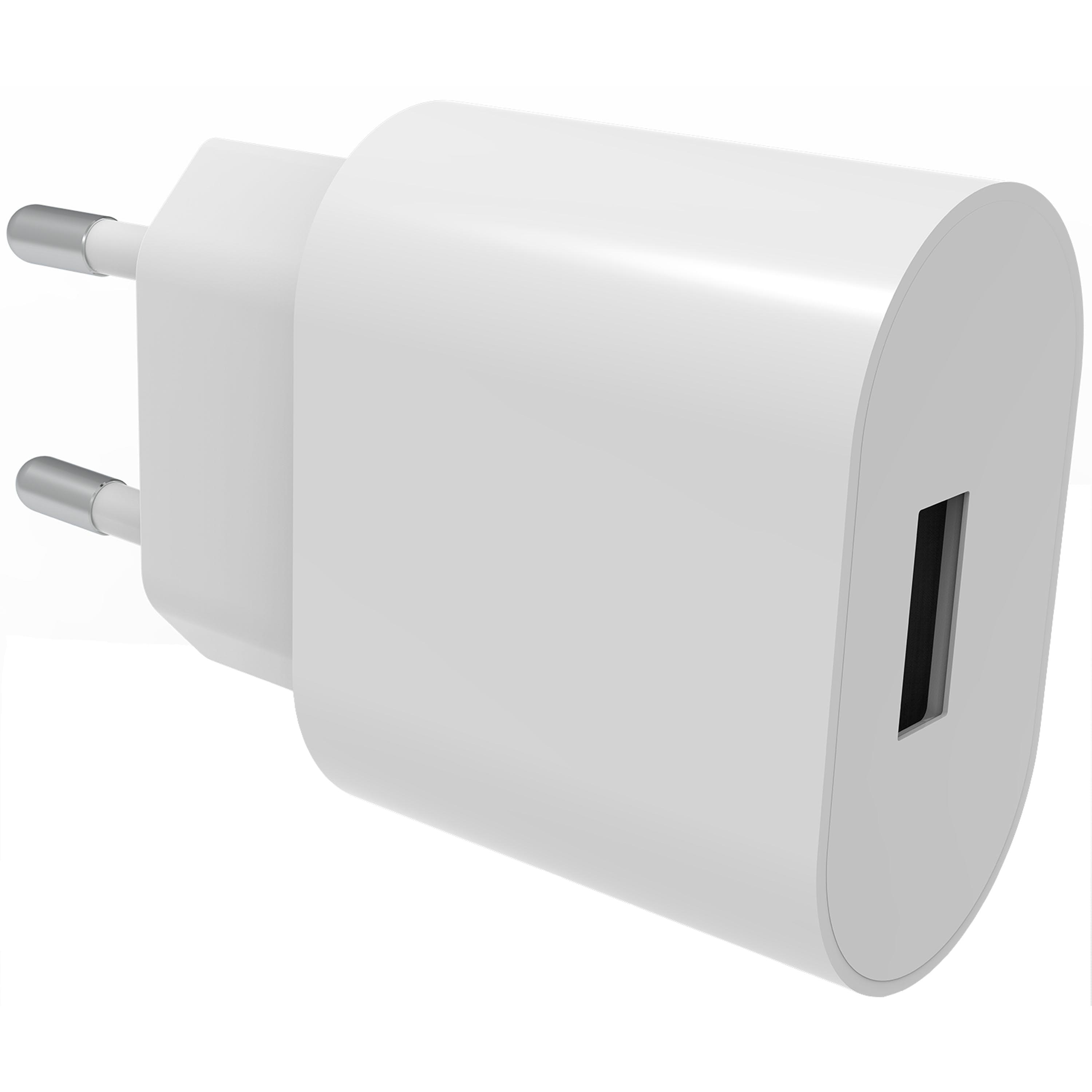 USB Wall Charger 2.4A valkoinen